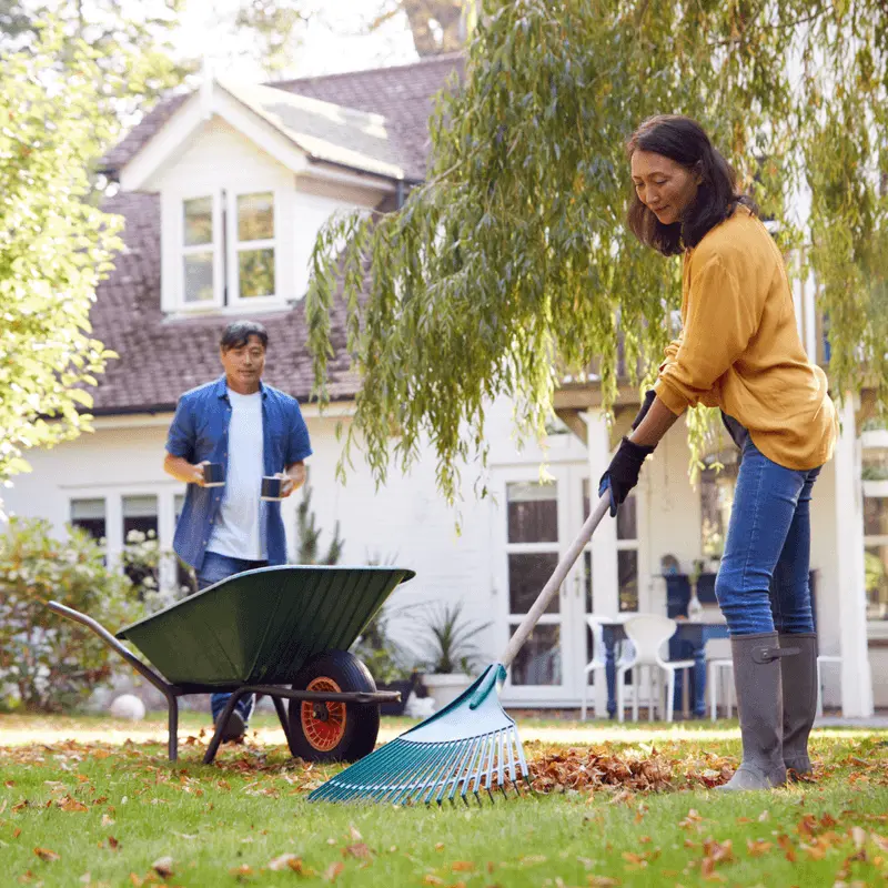A man and woman raking autumn leaves in the yard of a white house